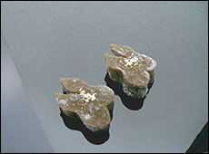 夫婦ひょうたん昆布金箔